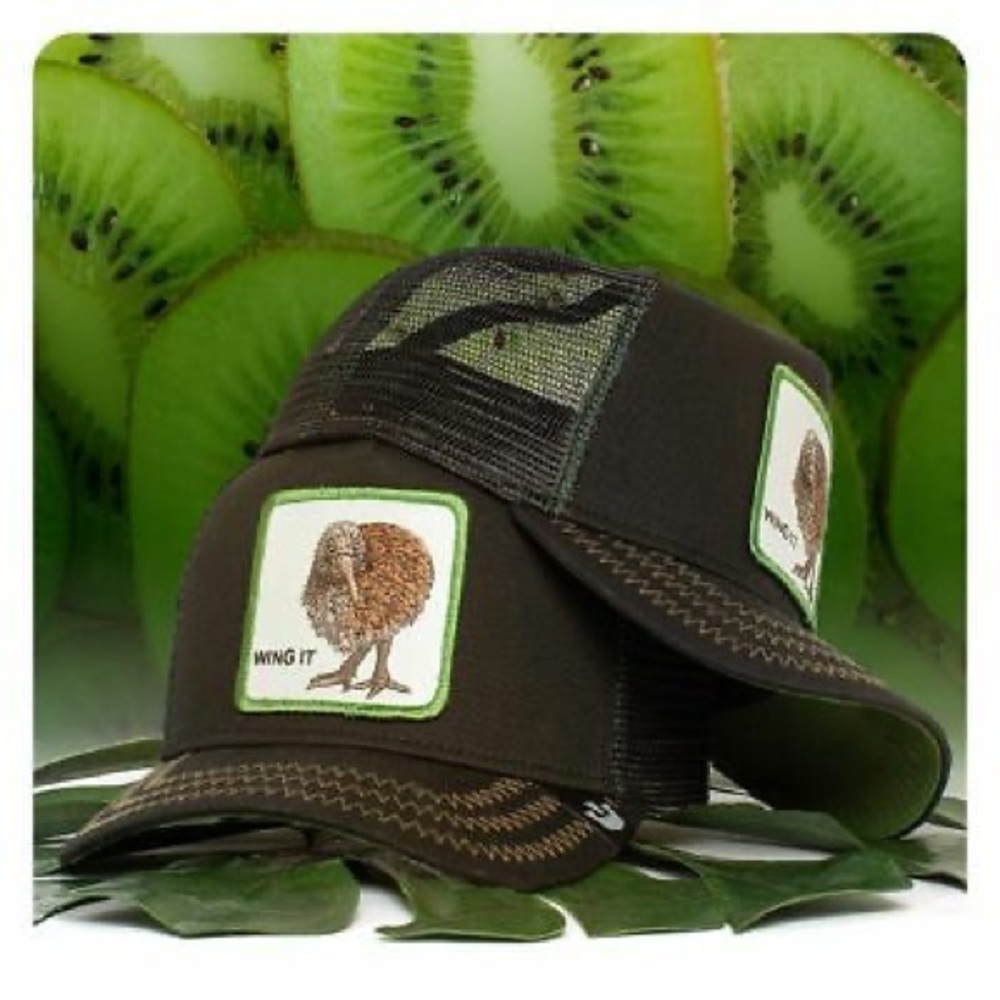 Goorin Bros. WING IT kiwi cap